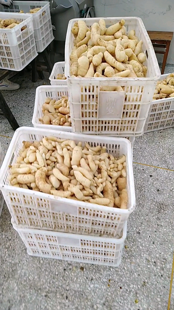 益陽瑪山產(chǎn)業(yè)機(jī)械有限公司，湖南益陽螺旋風(fēng)管廠家，熱風(fēng)食品烤房