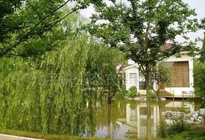 深圳市文科園藝實業經營部_世界工廠網全球企業庫