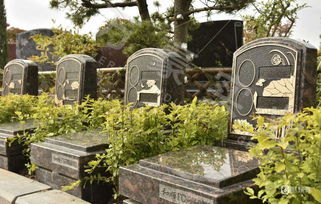 探秘 人文藝術墓碑到底什么樣